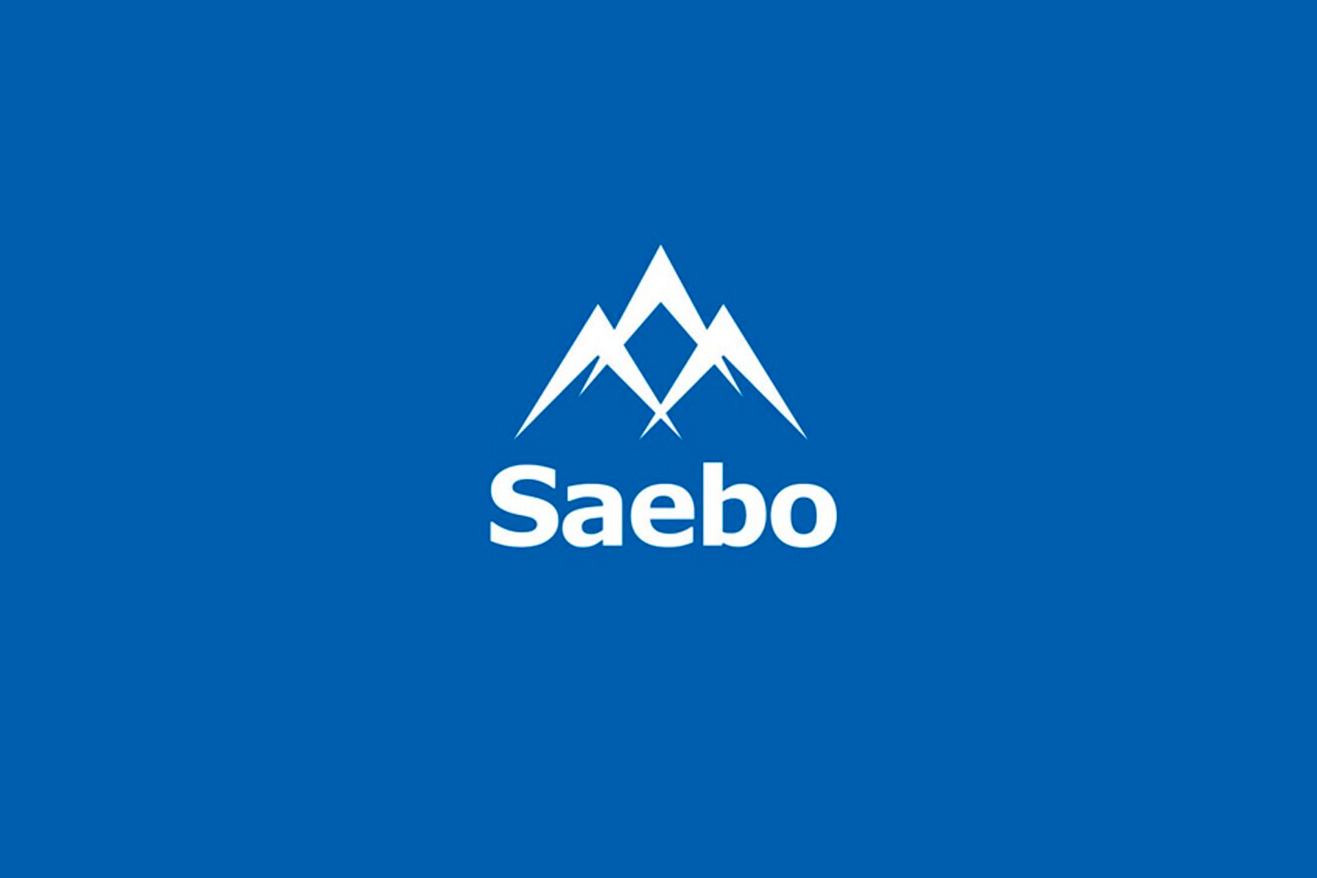 Saebo Reach